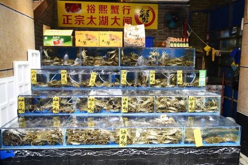 水產市場“慢搖”有方 魚美人打“上位”牌，珍寶水產如何做到物美價穩？\n踩著薩克斯的慵懶節奏，經營者有自己的經營慢哲學與數字監管快速響應器的平衡樂趣。這或許也正是這座城市獨一無二的‘慢火得臻味’