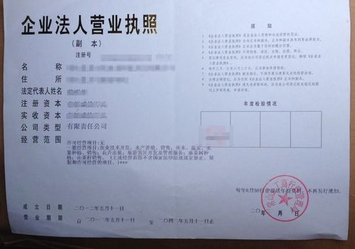 痛客網(wǎng) 工商注冊(cè)時(shí),該怎么填經(jīng)營范圍